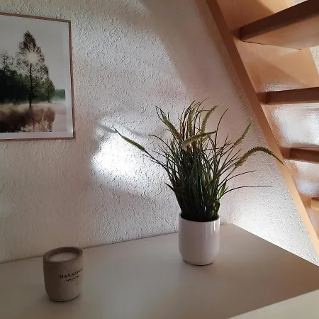 Am Erzgebirgskamm Nyaraló