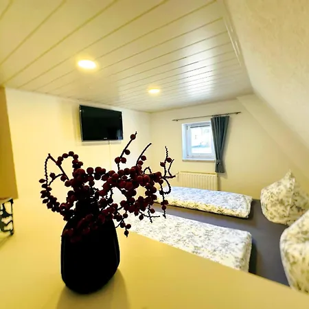 Am Erzgebirgskamm Feriehus *