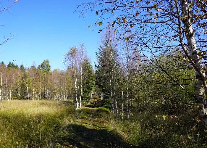 Σπίτι διακοπών Am Erzgebirgskamm Marienberg