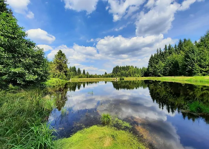 Σπίτι διακοπών Am Erzgebirgskamm Marienberg