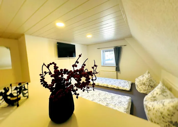 Am Erzgebirgskamm Feriehus *