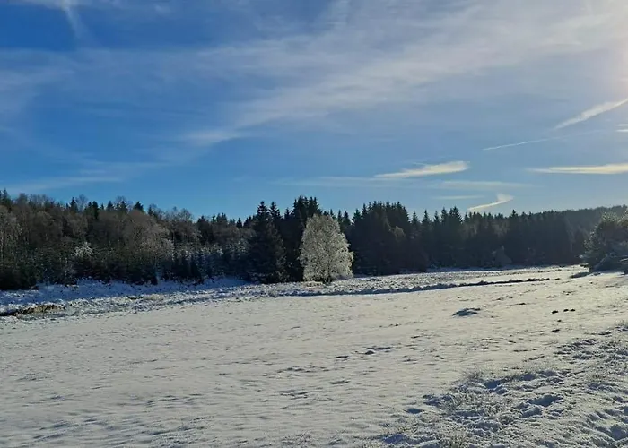 Am Erzgebirgskamm * Marienberg