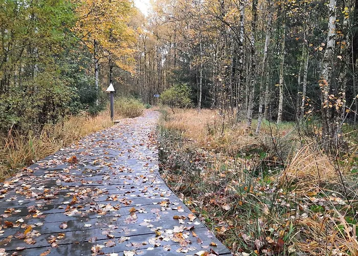 Am Erzgebirgskamm Marienberg